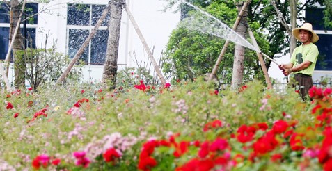 一名园林工人在章江公园浇花