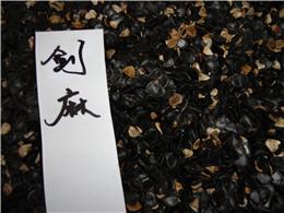 供应剑麻种子，各种灌木种子，规格齐全