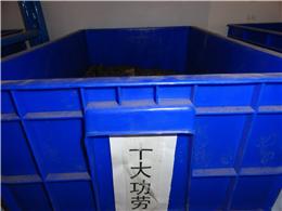 供应十大功劳种子，各种灌木种子，规格齐全