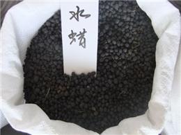 供应水腊种子，各种灌木种子，规格齐全