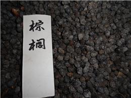 供应棕榈种子，各种乔木种子，规格齐全
