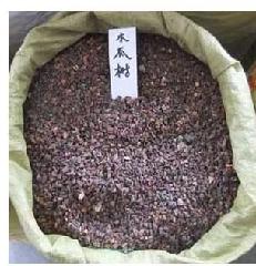 供应木瓜种子，各种果树种子，规格齐全