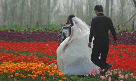 一对新人进入郁金香种植带拍摄婚纱照