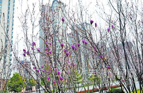 芜湖城市大建设七大亮点