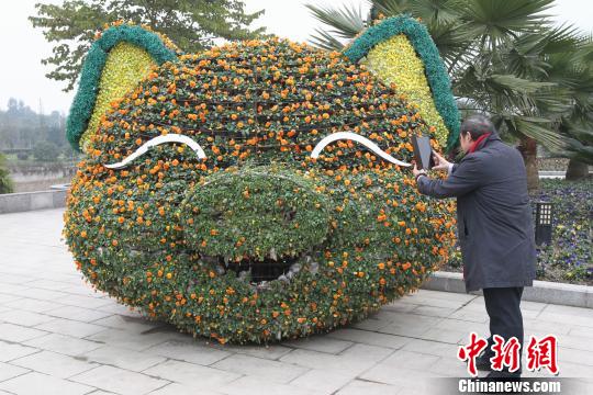 重庆大足龙水湖景区内，鲜花制作成的动物形象吸引市民拍照留念。