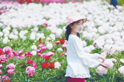 一个小姑娘在国际牡丹园牡丹、芍药的丛中拍照