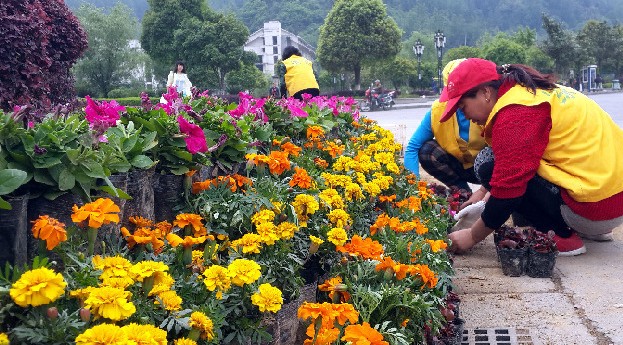园林工人正在张家界市武陵源城区摆放各式花盆