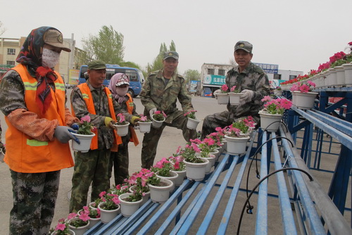 兵团第八师143团物业中心环卫工人正在往花架上摆放鲜花