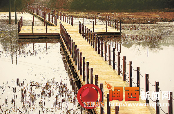 湿地公园里已建成的部分木栈道