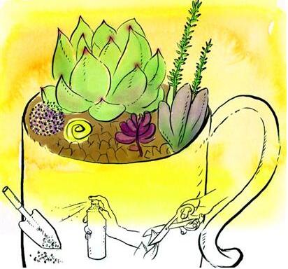 春夏之交如何防治多肉植物发霉